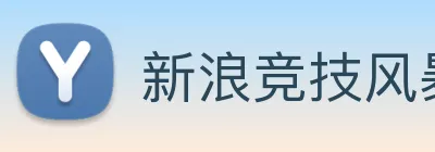 新浪竞技风暴 logo